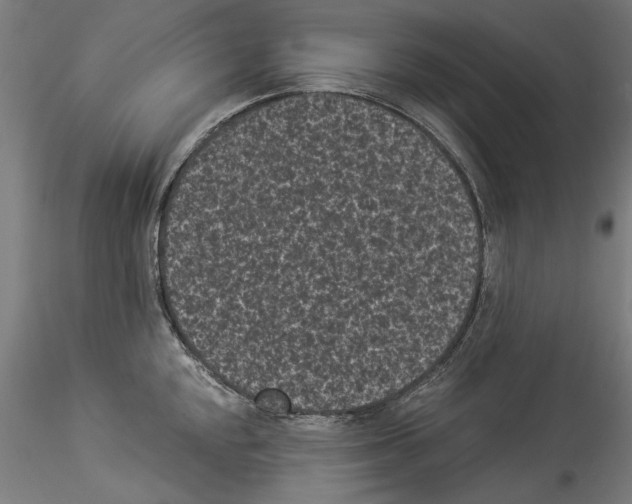 X0000114521048200911301112