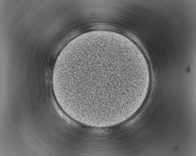 X0000114521049200911301112