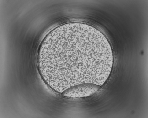 X0000114521050200911301112