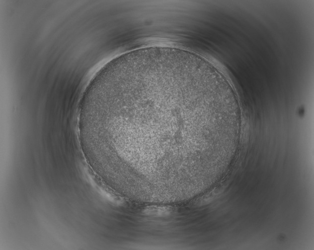 X0000114521051200911301112