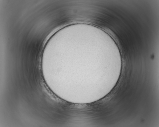 X0000114521052200911301112