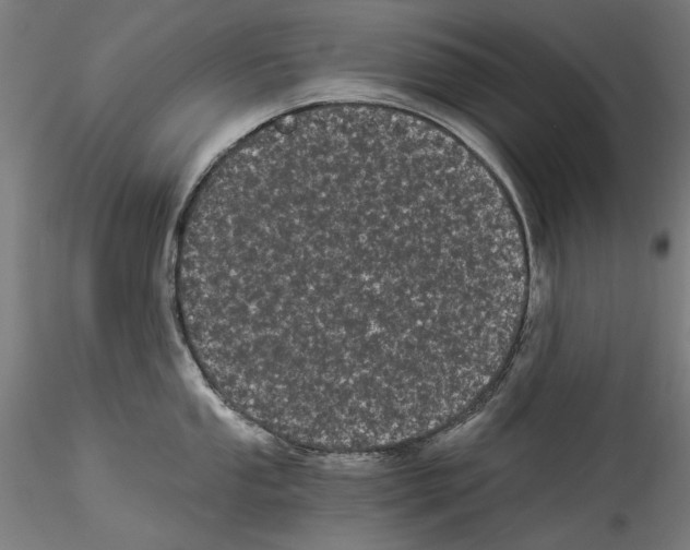 X0000114521053200911301112