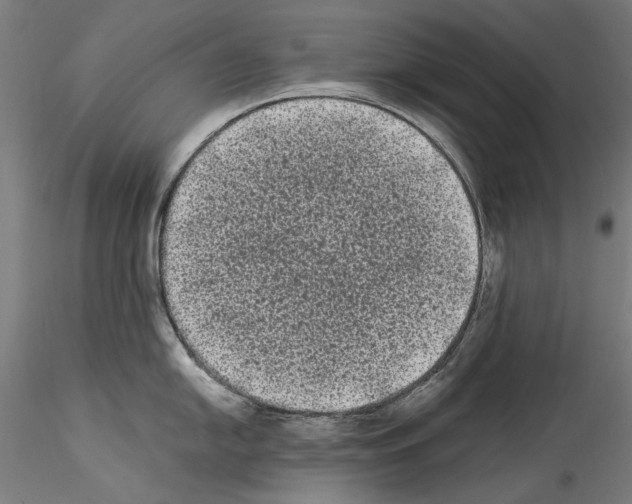 X0000114521054200911301112