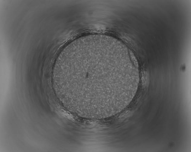 X0000114521057200911301111