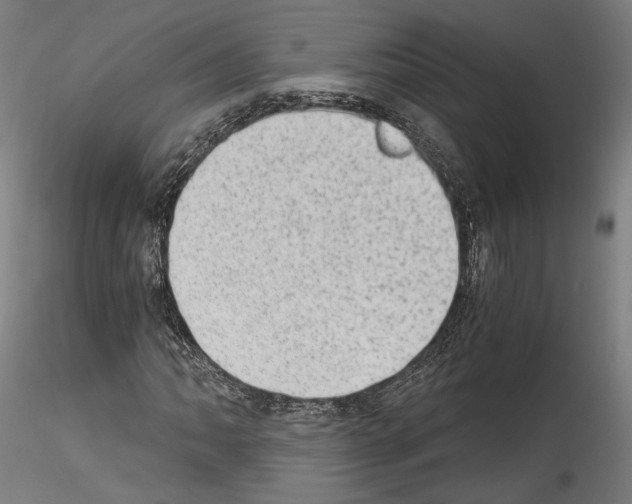 X0000114521062200911301111