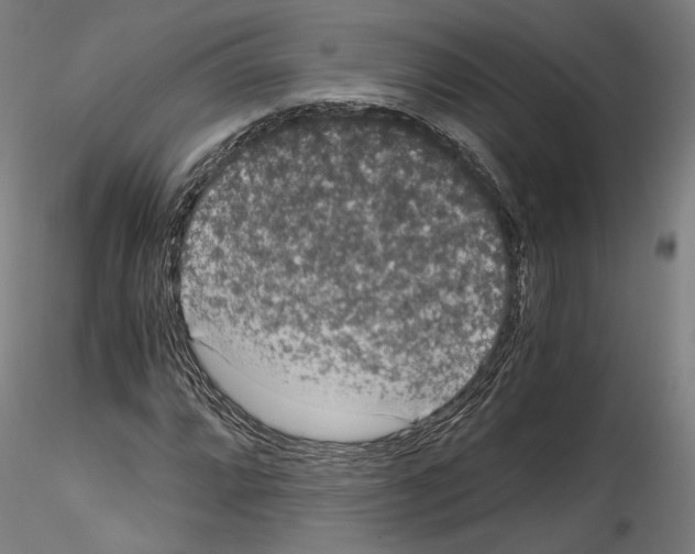 X0000114521064200911301111