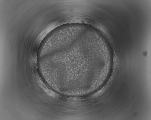 X0000114521065200911301111