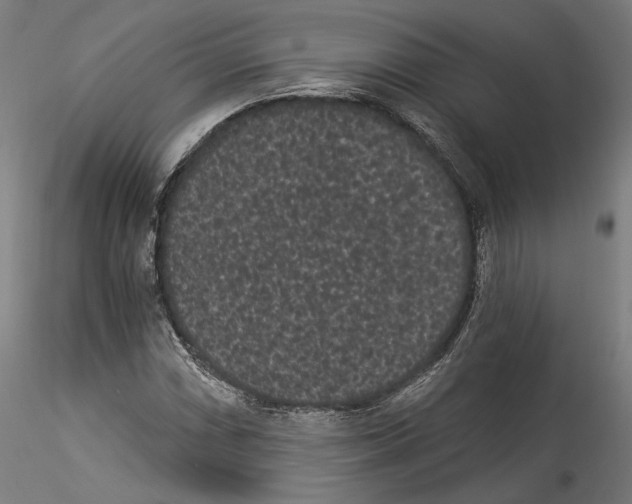 X0000114521066200911301111