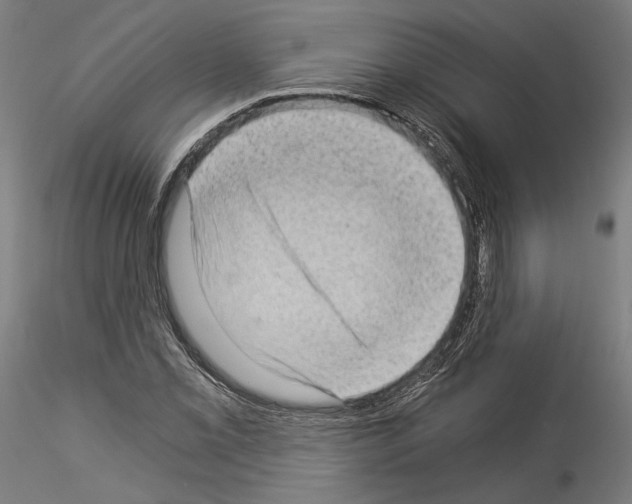 X0000114521069200911301111