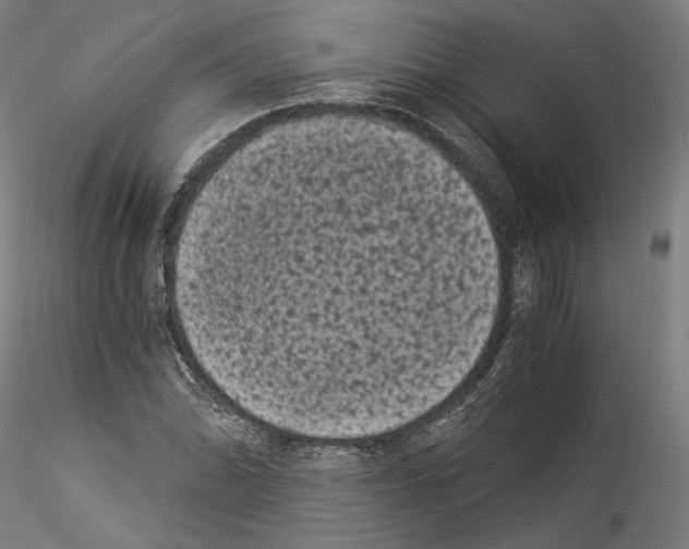 X0000114521070200911301111