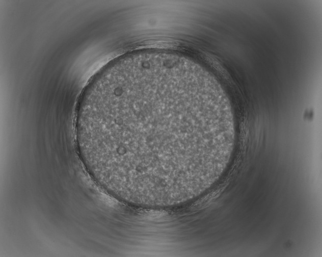 X0000114521071200911301111