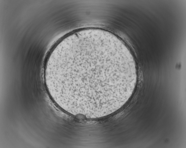 X0000114521072200911301111