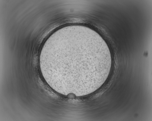 X0000114521073200911301111