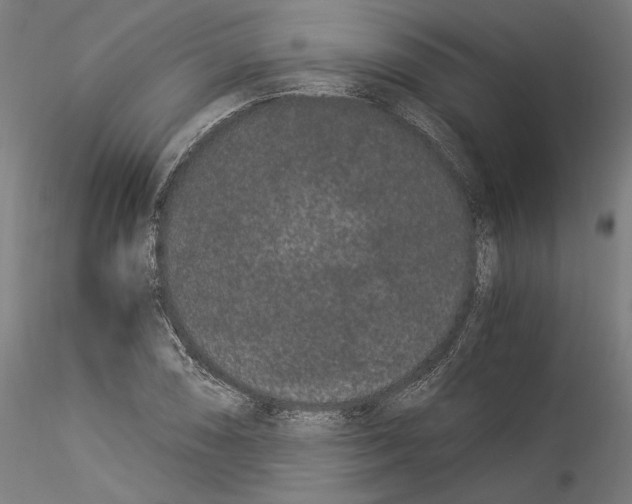 X0000114521074200911301111