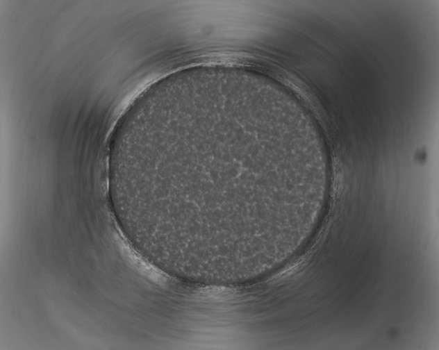 X0000114521075200911301111