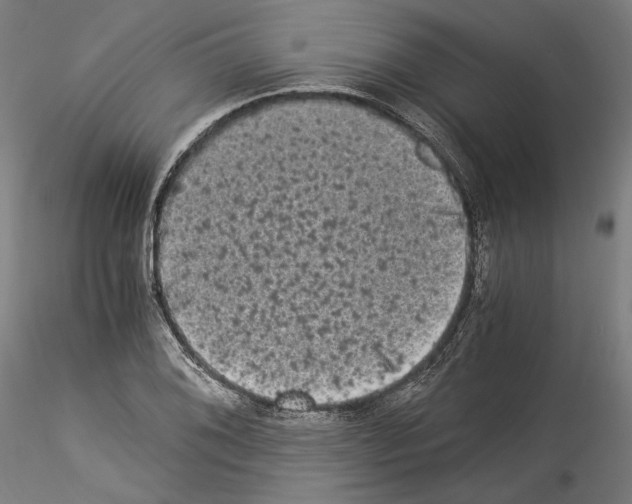 X0000114521076200911301111