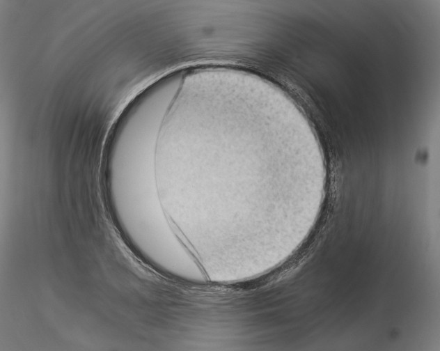 X0000114521077200911301111