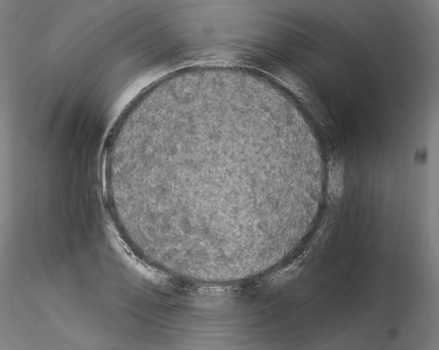 X0000114521078200911301111