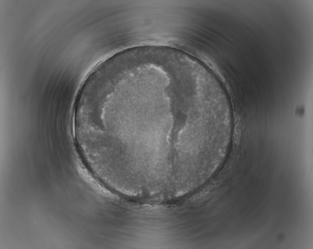 X0000114521080200911301111