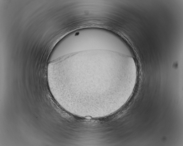 X0000114521081200911301111