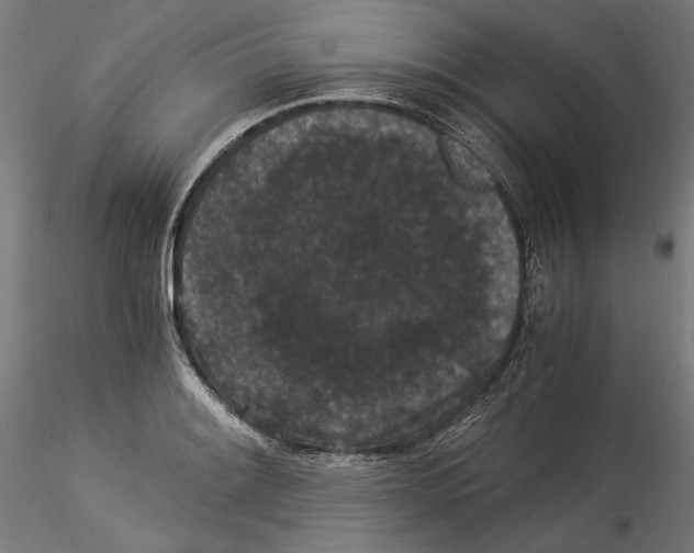 X0000114521084200911301111