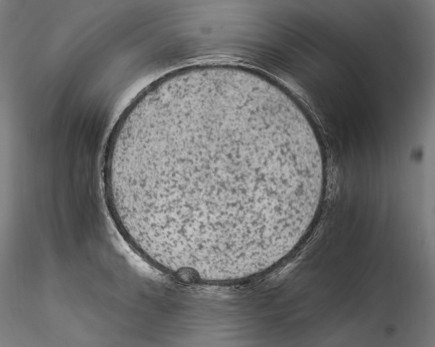 X0000114521086200911301111