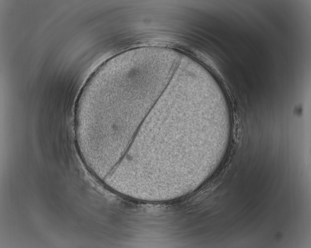 X0000114521087200911301111