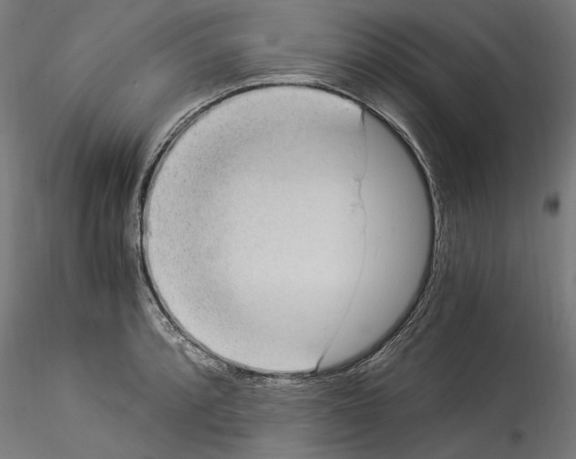 X0000114521088200911301111