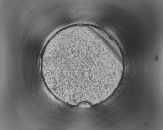 X0000114521092200911301111