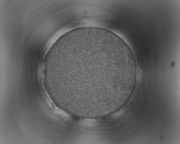 X0000114521094200911301110