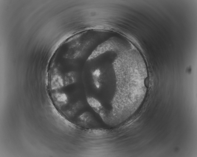 X0000114521095200911301110