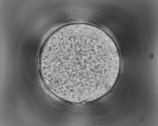 X0000114521096200911301110