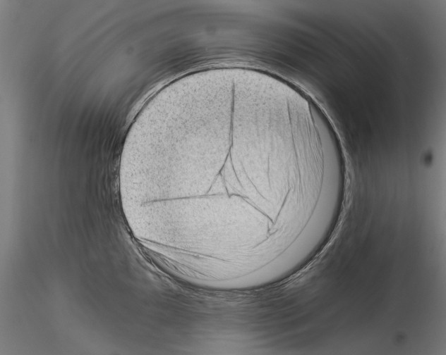 X0000114521097200911301110