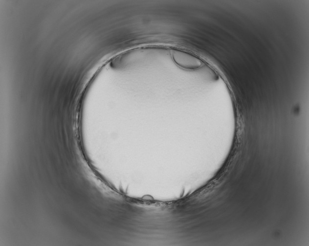 X0000114521099200911301110