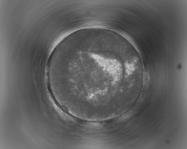 X0000114521101200911301110