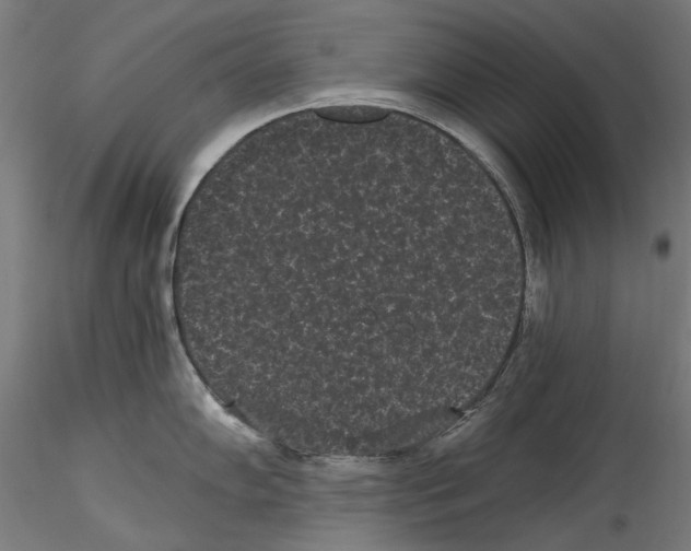 X0000114521102200911301110