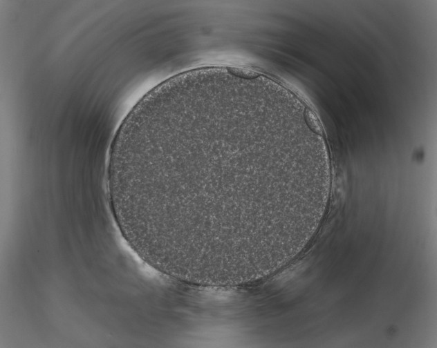 X0000114521103200911301110