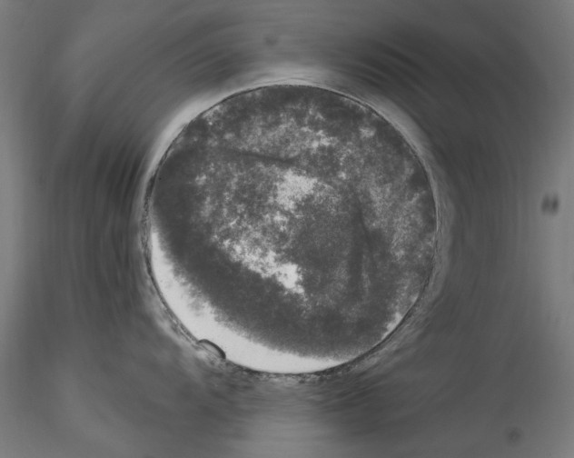 X0000114521104200911301110