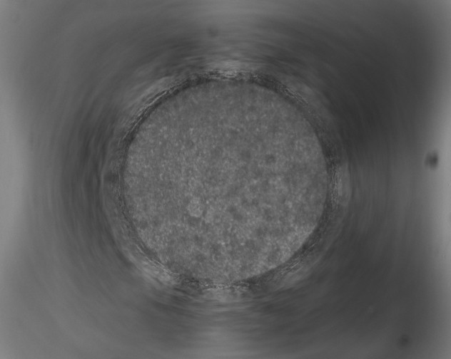 X0000114521105200911301110