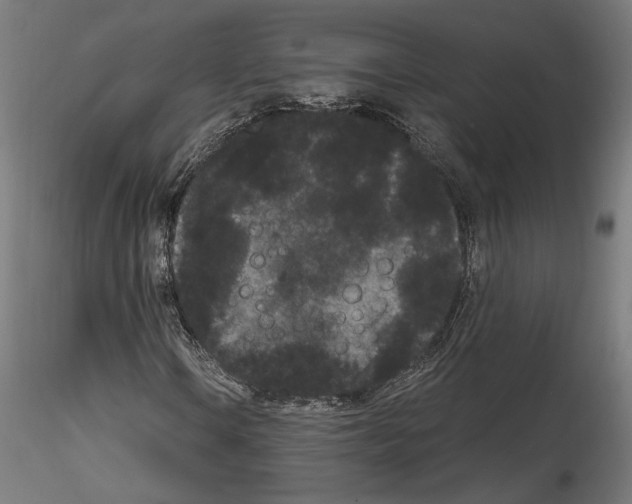 X0000114521106200911301110