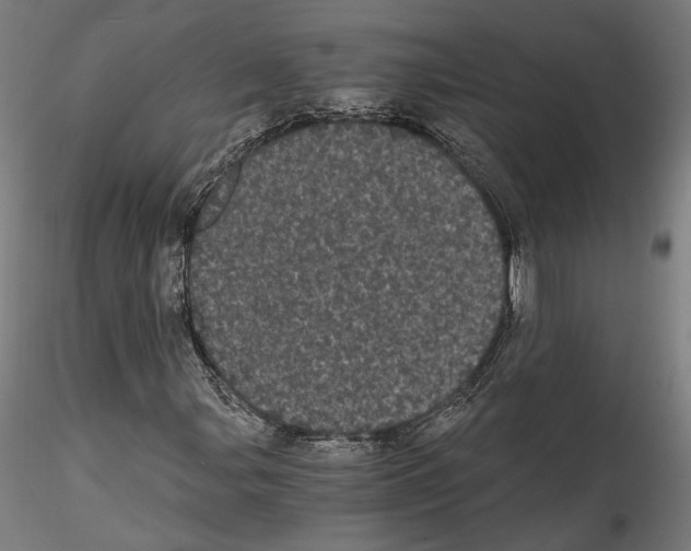 X0000114521107200911301110