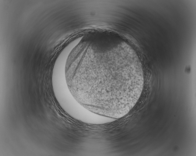 X0000114521110200911301110