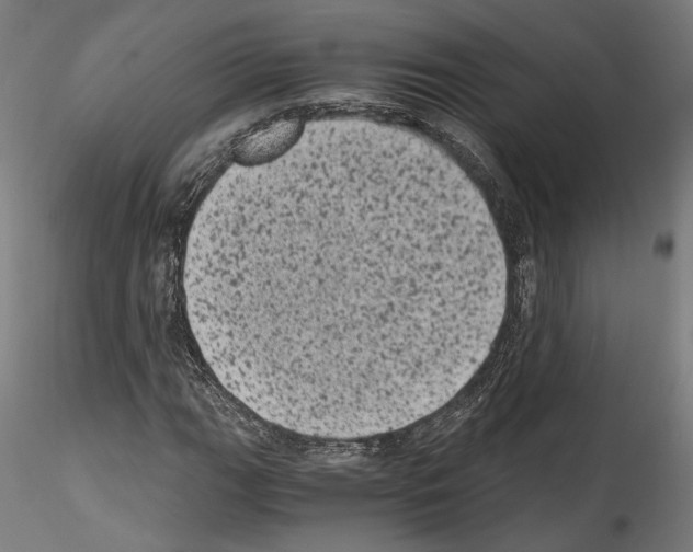 X0000114521111200911301110