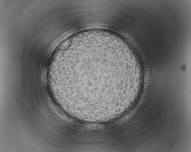 X0000114521113200911301110