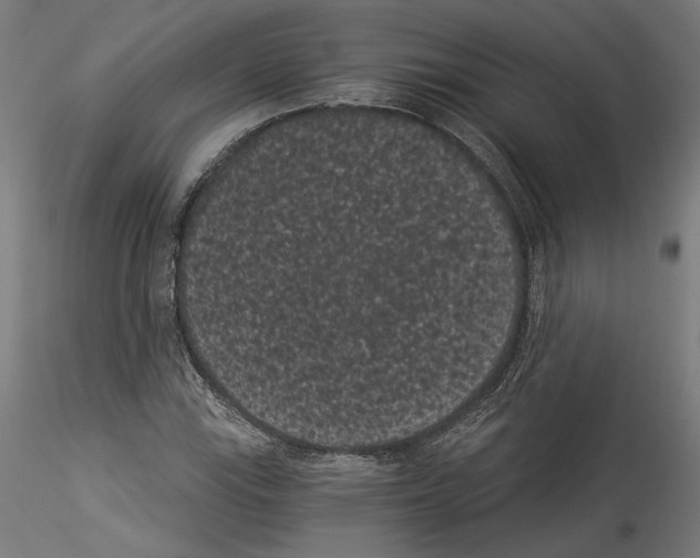 X0000114521115200911301110