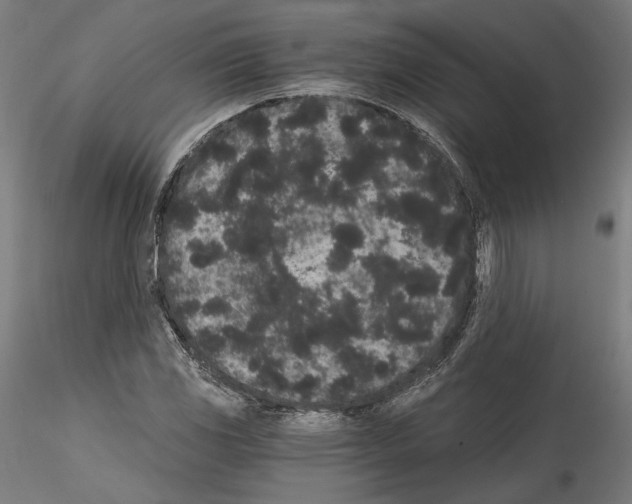 X0000114521117200911301110