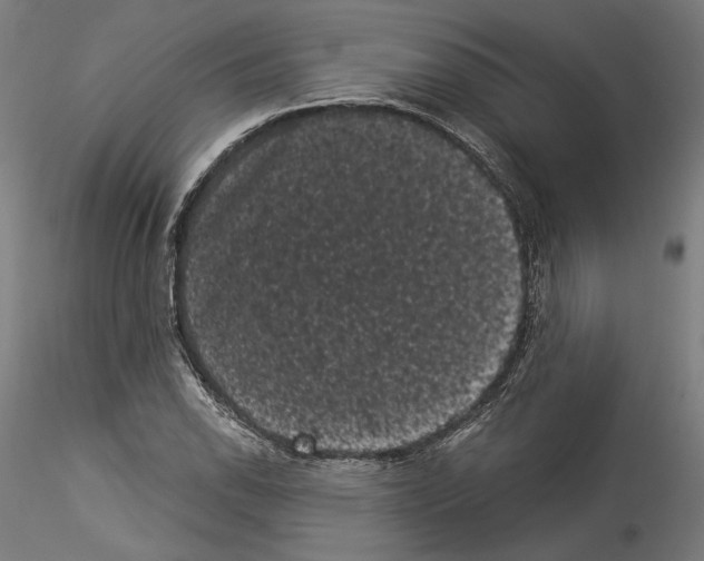 X0000114521118200911301110