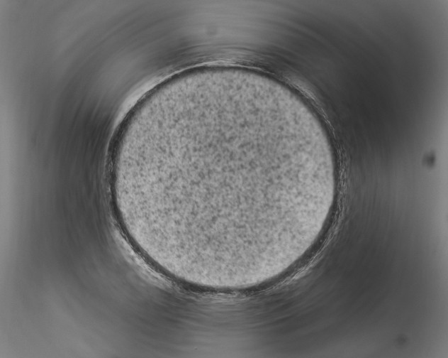 X0000114521122200911301110