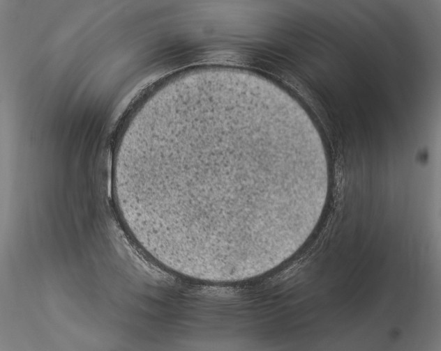 X0000114521123200911301110