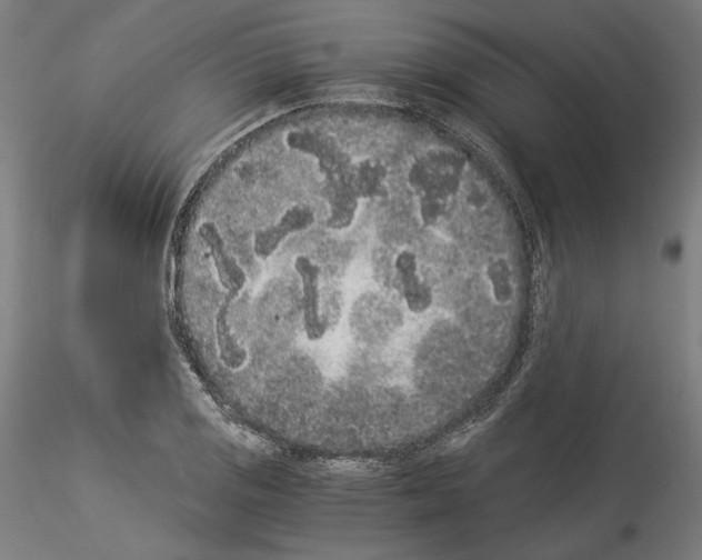 X0000114521125200911301110